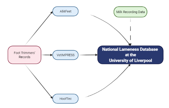 Graphic to show flow of phenotype data (lesion records) to help build the database